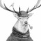 Lucky Elk