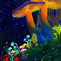 Nicolette Menyhertová