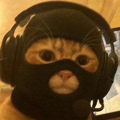 bup333