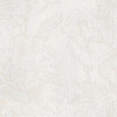 SE.