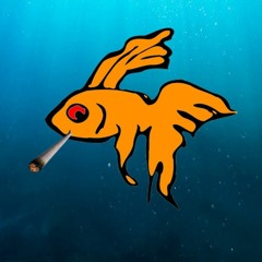 fishboy