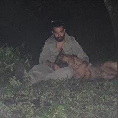 reza toghi