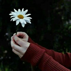 Mariam