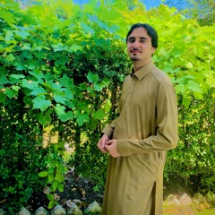 Shayan Khan