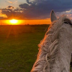 دانا ايمن دسة