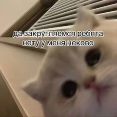 rovzn