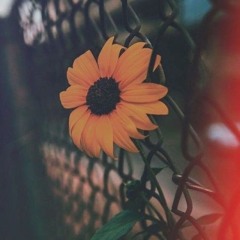 sss_om