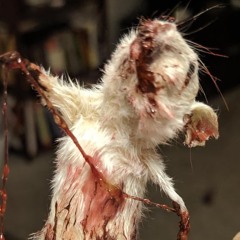 Vermin God