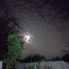 Prohibido Suicidarse En Primavera