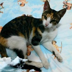 🔶Mariela 🔷💠