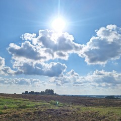 blondynka debilynka 😆