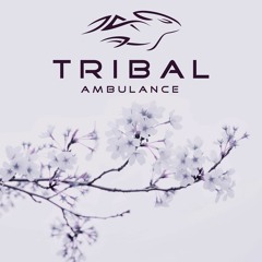 Tribal Ambulance