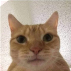 Diego