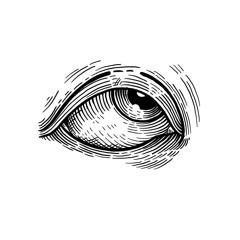 odindvisim