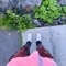 phab