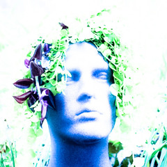 biome2