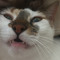 Nelo