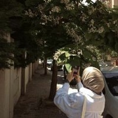 Nermeen Hesham