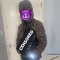 bdawrg