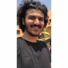 Ahmed Abdel-kareem