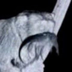 3ГЯ̾0ӄӄ5  7 7