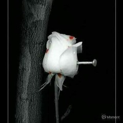 *عــتــاب😴🖤*