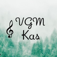 VGM KaS
