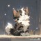 kandy-kitten^;-;^