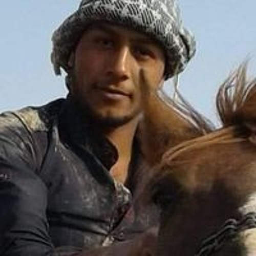 احمد شحاته’s avatar