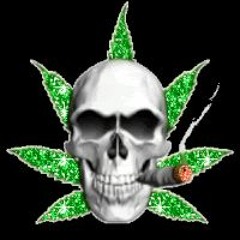 mountain_dew750