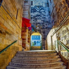 ريحانة المصطفي