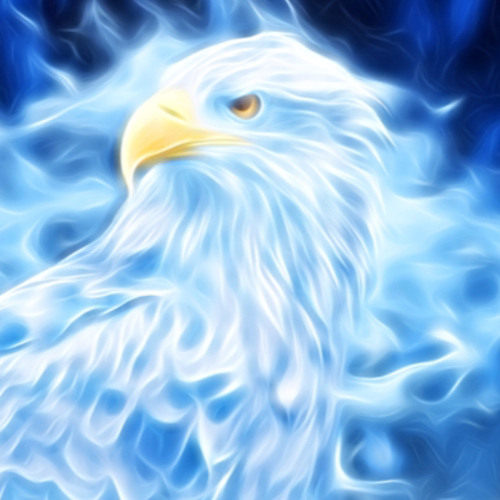 blue eagles’s avatar