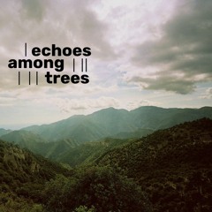 Echoes Among Trees