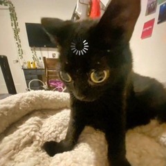 ✨KIKI✨
