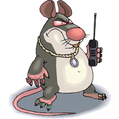 кRRысиный король