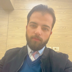 Alaa H Elsery
