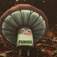 Fungi