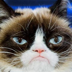 CHICKEN STRIIIIIIIIIIPS