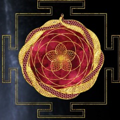 Kundra Rose