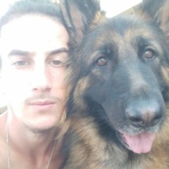 רפאל אברמוב