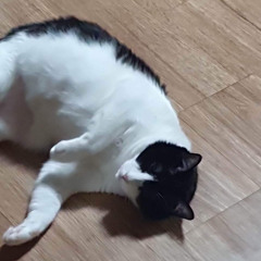 변기통일상