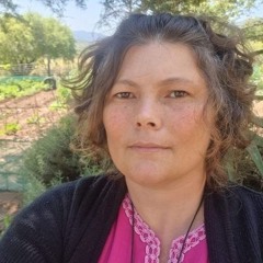 Petronella Gerber