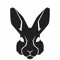 WhiteRabbit