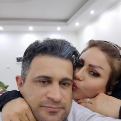 mehdi ansari