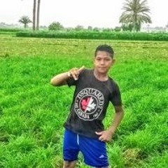 الصيني الدولي
