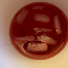 PureCodeine