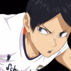 Shiba_229