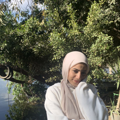 Maryiam Ibrahem