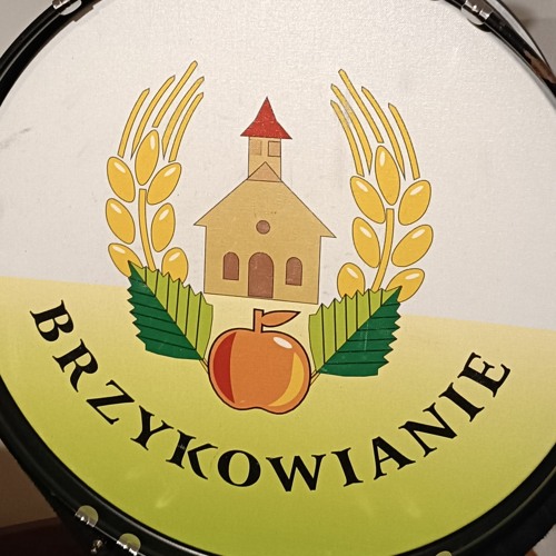 BRZYKOWIANIE - Dzis Do Ciebie Przyjsc Nie Moge