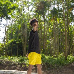 travis nandalall